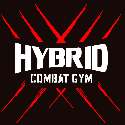 Hybrid Gym